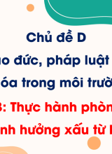 Chủ đề D - Bài 3. Thực hành phòng vệ trước ảnh hưởng xấu từ Internet